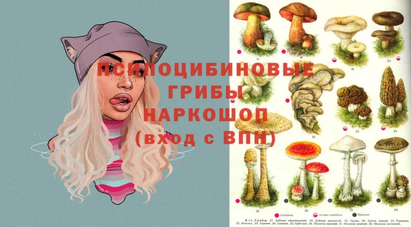 альфа пвп Касимов