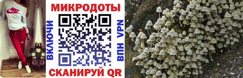 Купить где  Красноармейск  Галлюциногенные грибы Psilocybe 